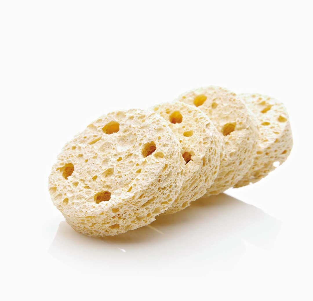 gymna Rundschwamm für Vakuumelektrode