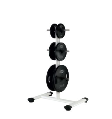 gym80 SYGNUM BASIC Plattenständer